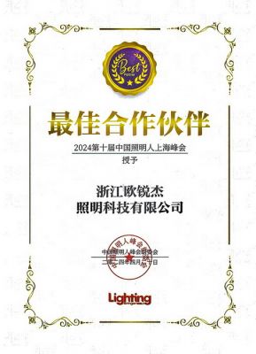 2024第十届中国照明人上海峰会 最佳合作伙伴